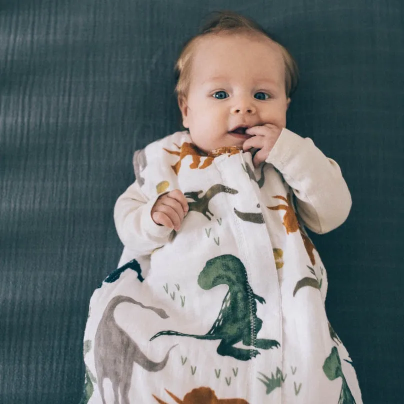 Cotton Muslin Sleep Bag - Dino Friends