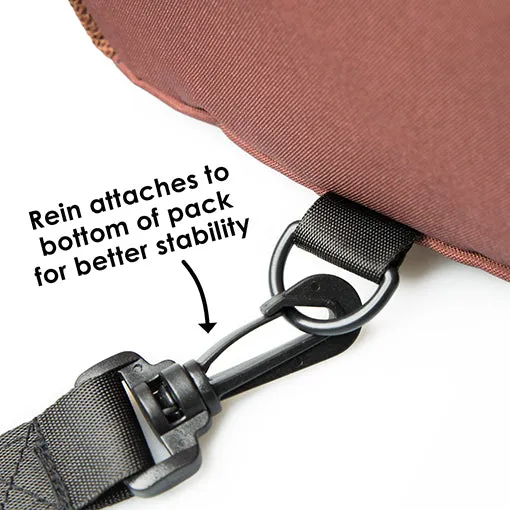 Diono Safety Reins & Backpack