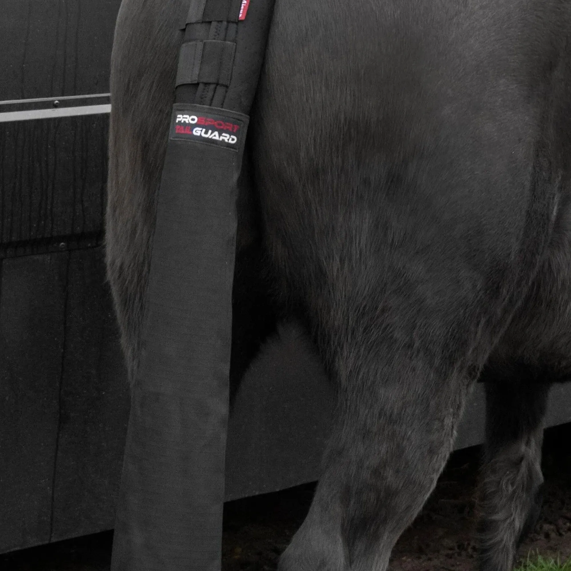 Lemieux Tail Guard With Bag