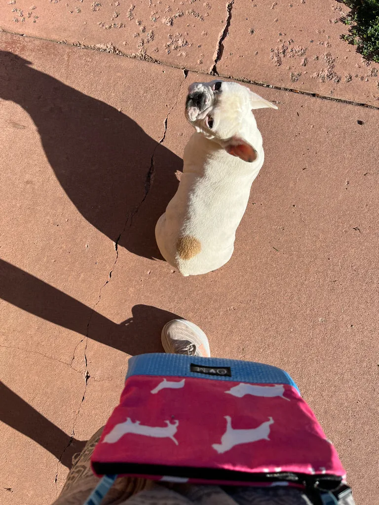 Stella Pink Cross Body Bag-Pink Dog with Teal Bottom